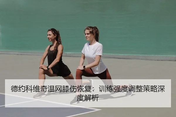 de-yue-ke-wei-qi-wen-wang-xi-shang-hui-fu-xun-lian-qiang-du-tiao-zheng-ce-lve-shen-du-jie-xi-3-833.jpg