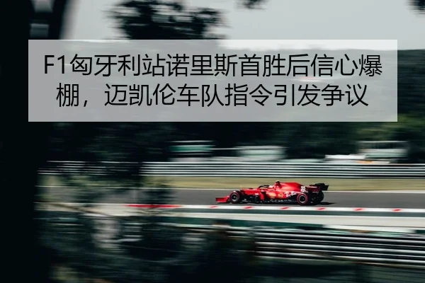 xiong-ya-li-zhan-nuo-li-si-shou-sheng-hou-xin-xin-bao-peng-mai-kai-lun-che-dui-zhi-ling-yin-fa-zheng-yi-2-744.jpg