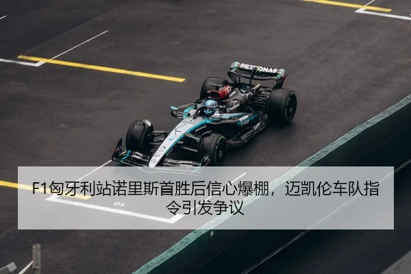 xiong-ya-li-zhan-nuo-li-si-shou-sheng-hou-xin-xin-bao-peng-mai-kai-lun-che-dui-zhi-ling-yin-fa-zheng-yi-3-290.jpg