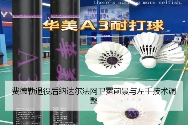 fei-de-lei-tui-yi-hou-na-da-er-fa-wang-wei-mian-qian-jing-yu-zuo-shou-ji-shu-tiao-zheng-2-501.jpg