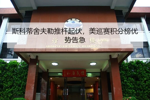si-ke-di-she-fu-lei-tui-gan-qi-fu-mei-xun-sai-ji-fen-bang-you-shi-gao-ji-3-371.jpg