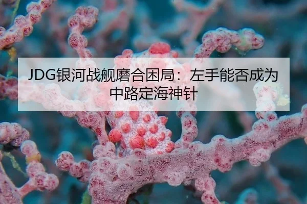 yin-he-zhan-jian-mo-he-kun-ju-zuo-shou-neng-fou-cheng-wei-zhong-lu-ding-hai-shen-zhen-3-786.jpg