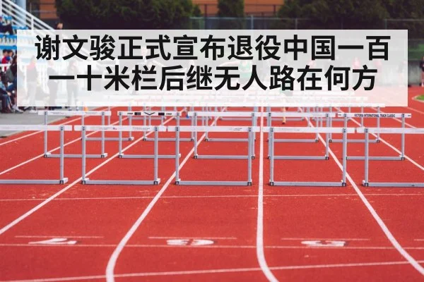 谢文骏正式宣布退役中国一百一十米栏后继无人路在何方